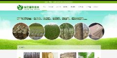 宿遷市宿豫區(qū)春秋苗木種植