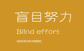 我不反對努力，但我反對盲目的努力